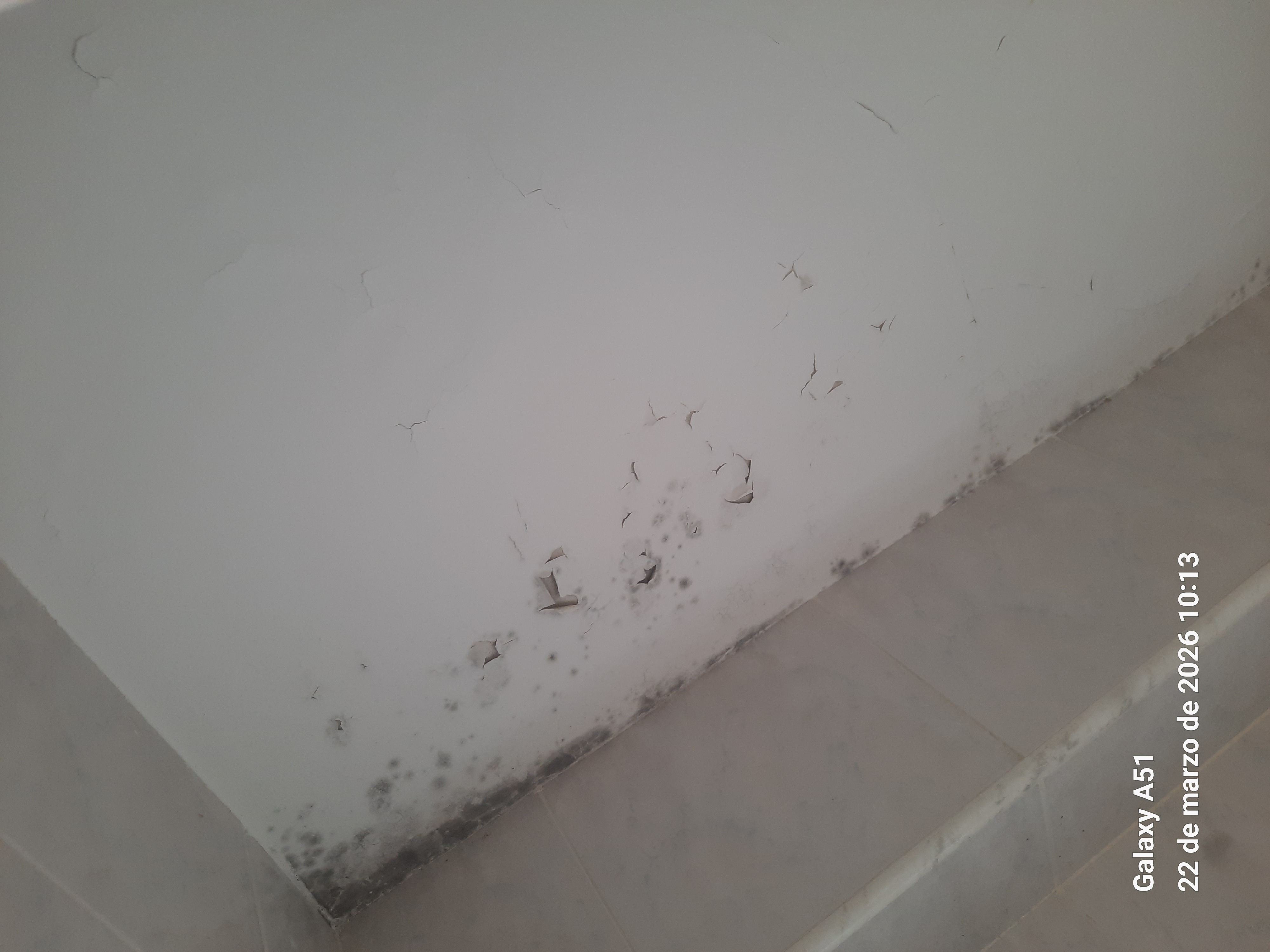 TECHO BAÑO