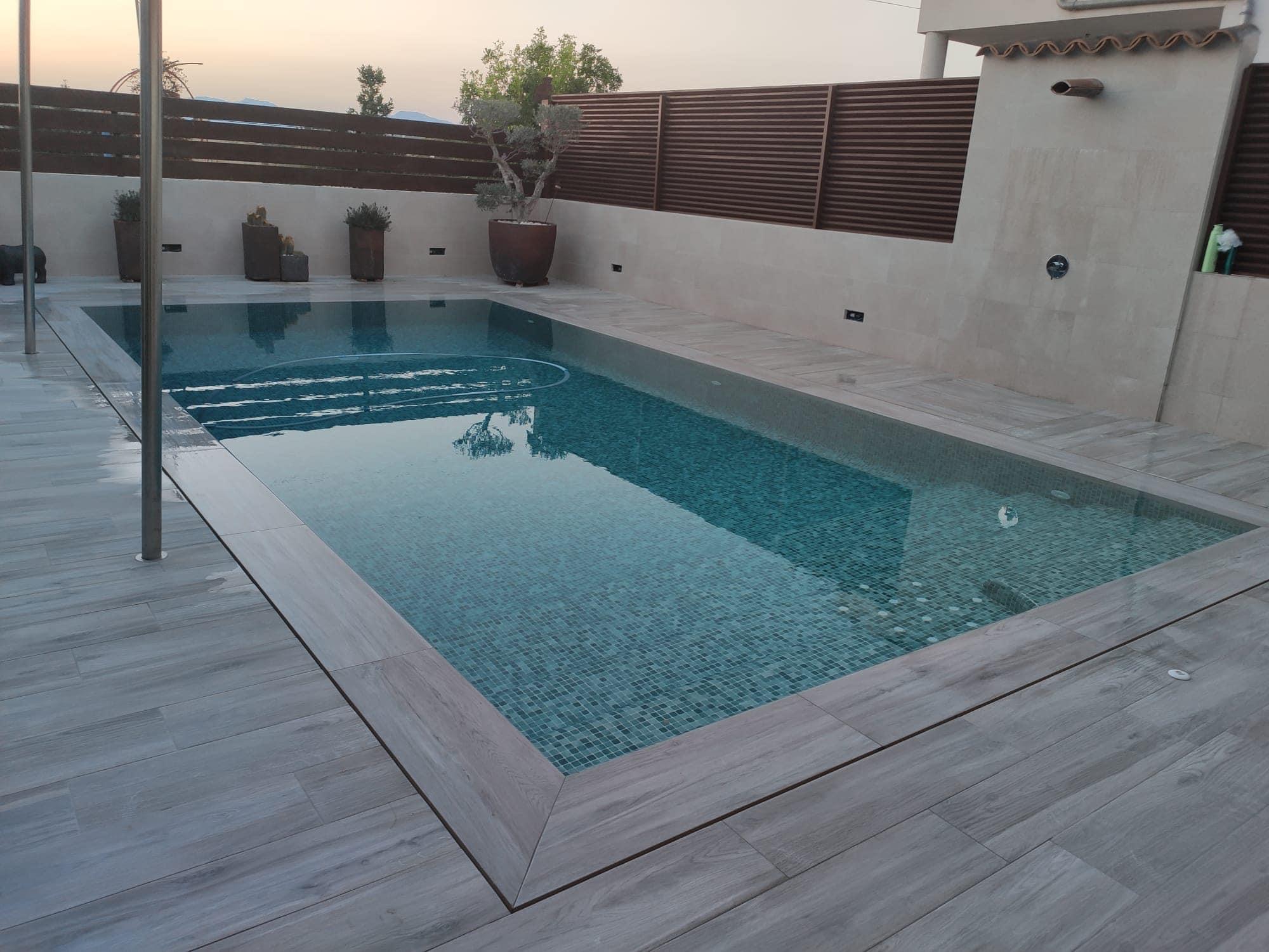Piscina y terraza