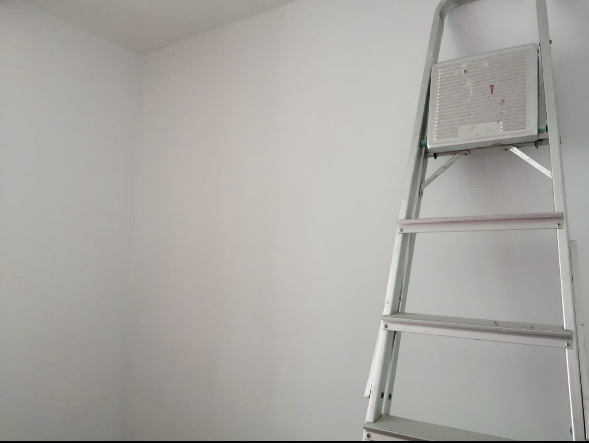 Pintura