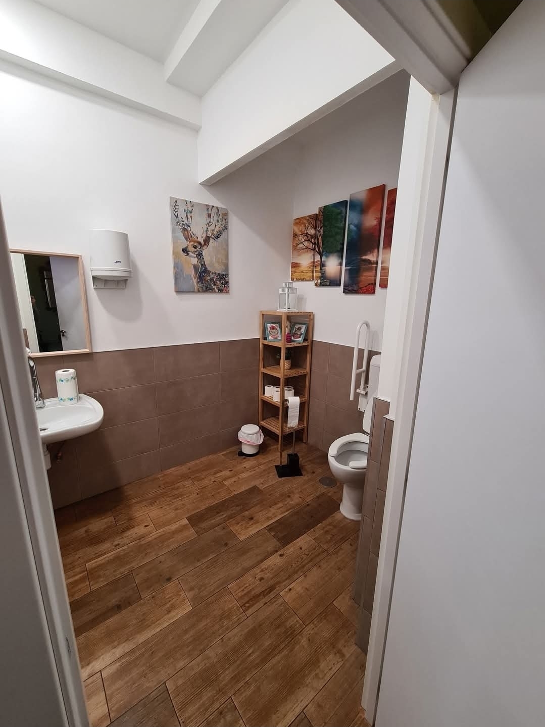 Baño adaptado