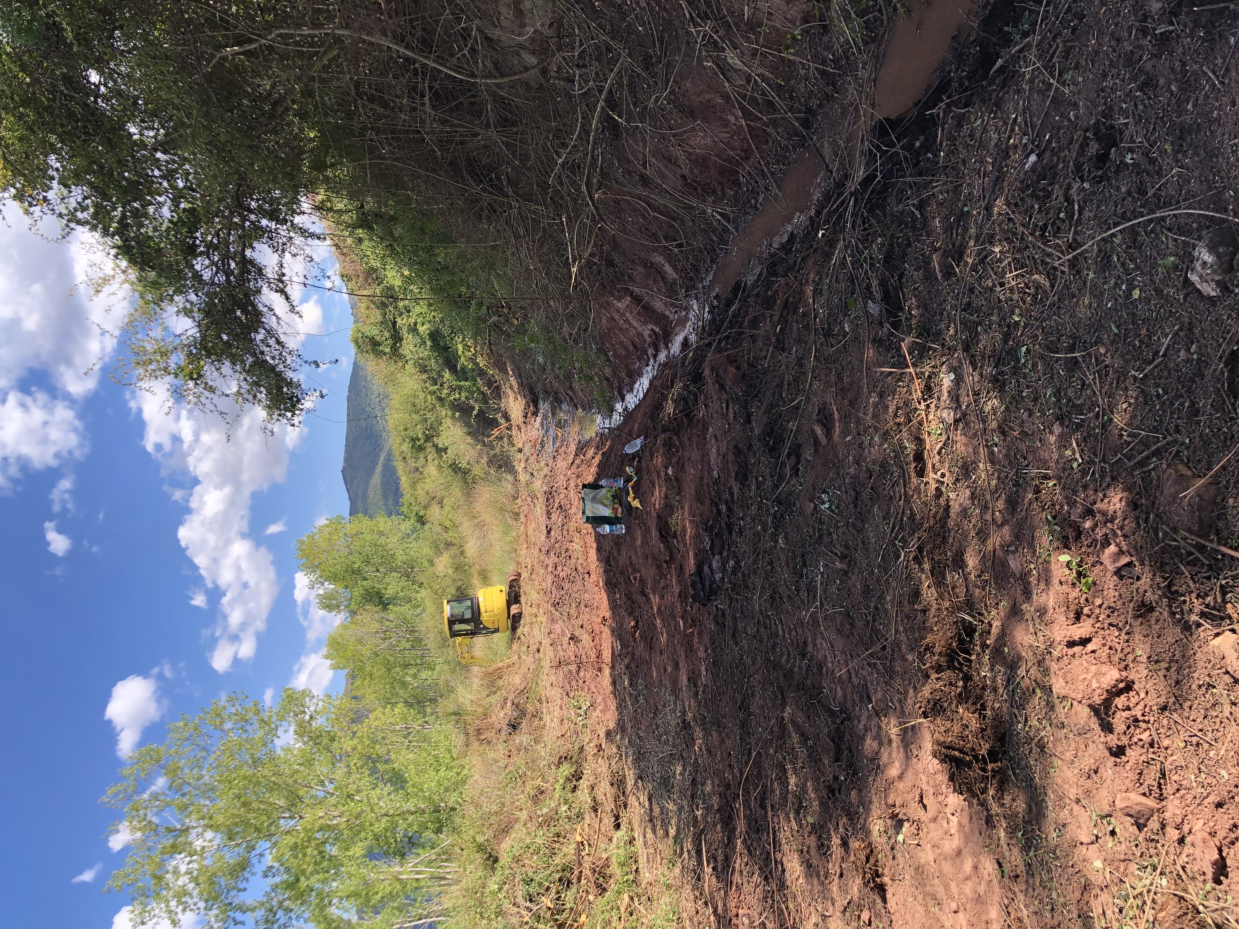 Desbroce y acequia