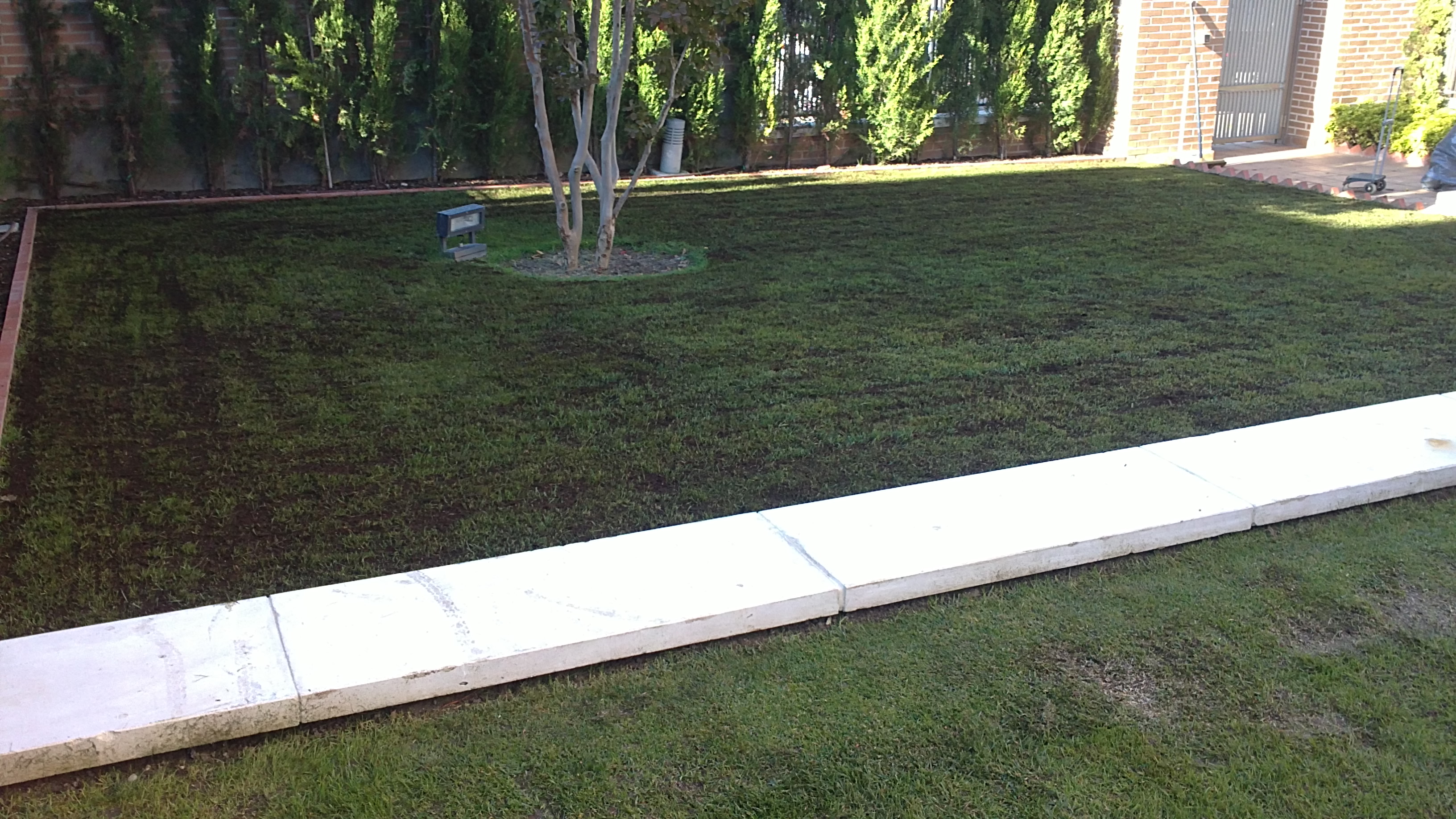 Las 9 mejores empresas de jardineros en Valladolid - habitissimo