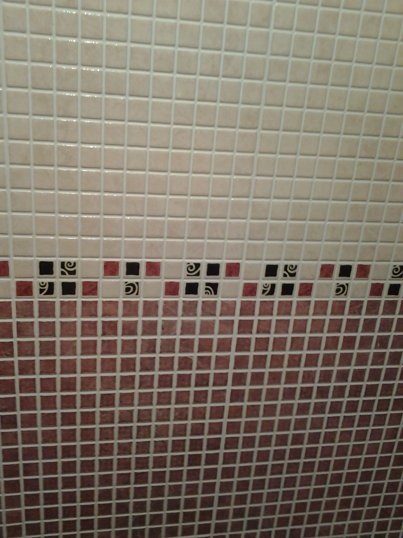 Alicatado pared baño