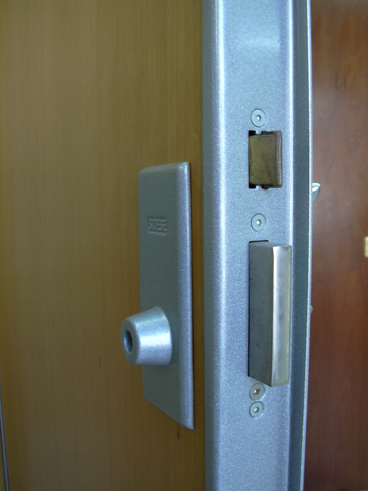 Puerta blindada con escudo