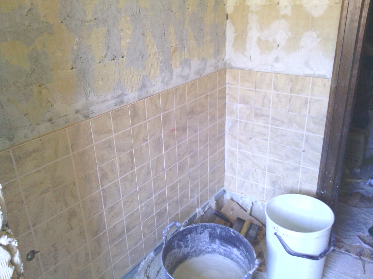 fase 2