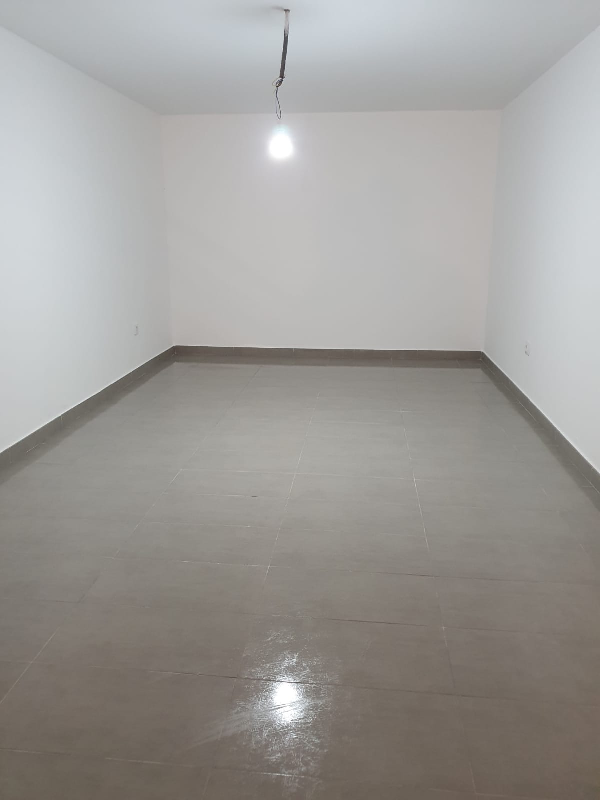 Limpieza de estancias, completa