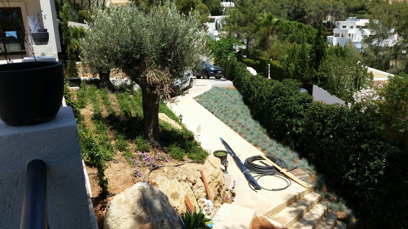 jardin riego mas planta
