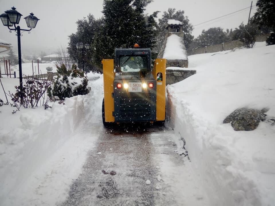 Nieve