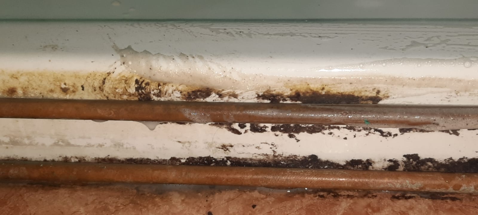Baño fondo