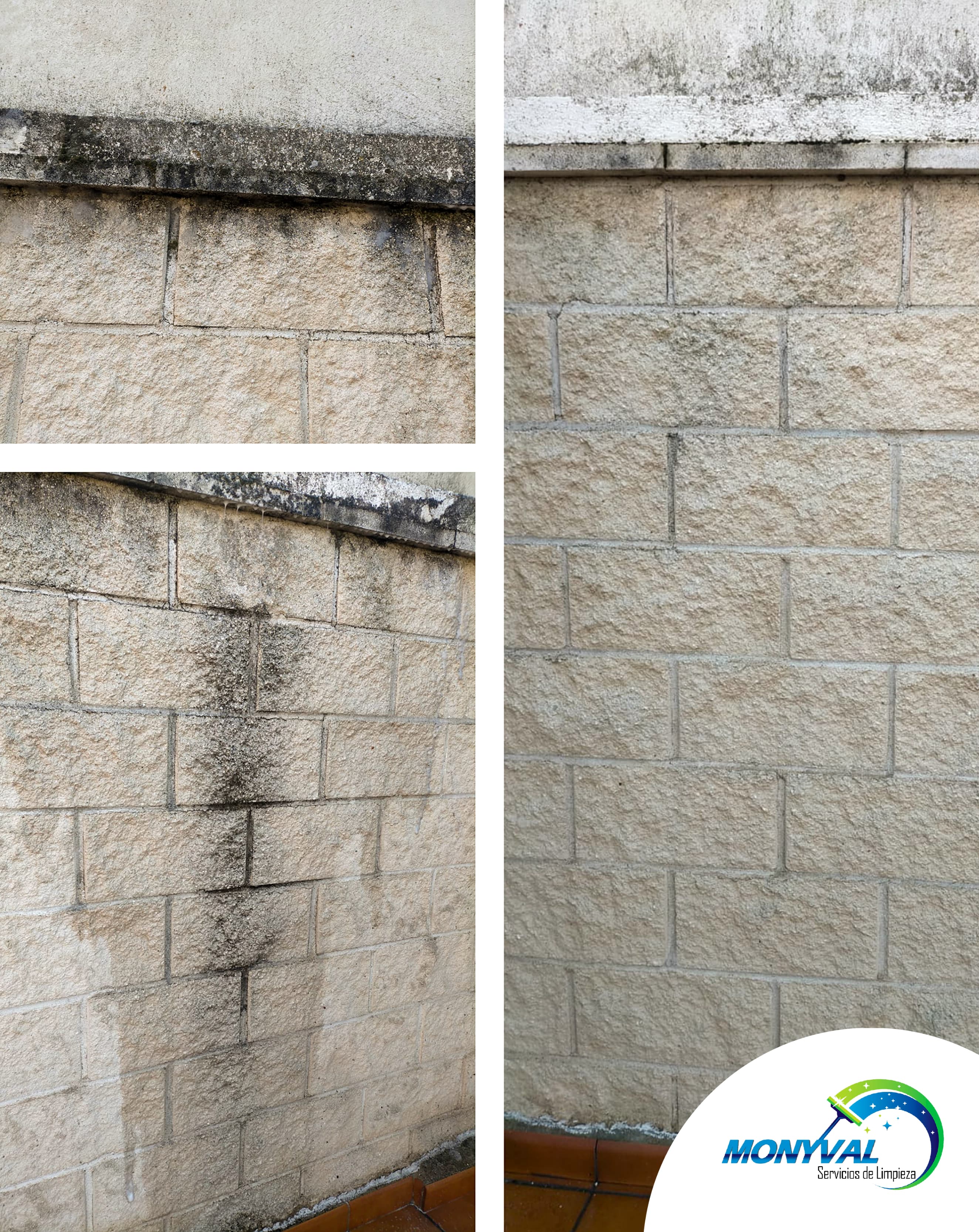 LIMPIEZA DE PARED DE PATIO