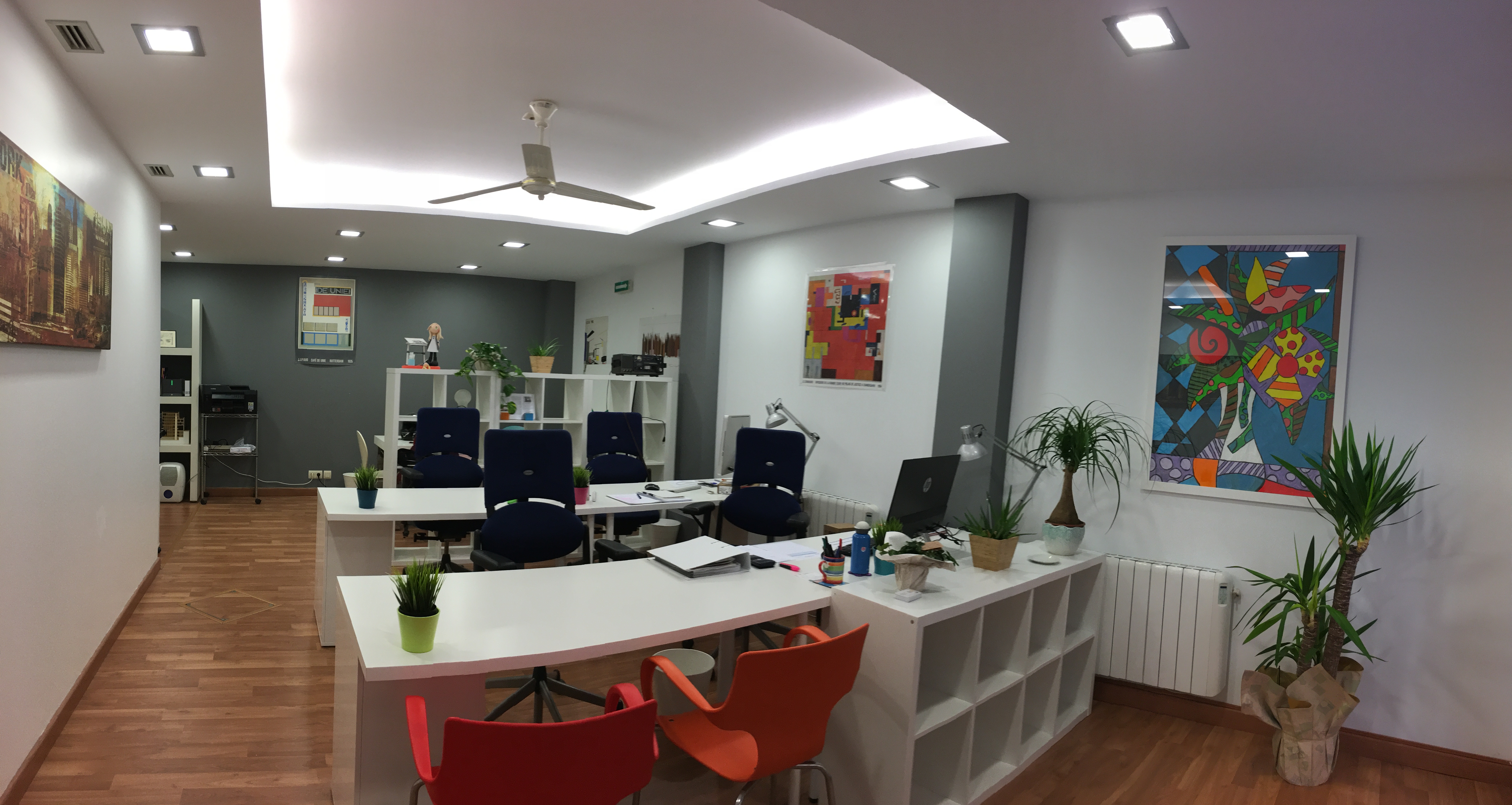 Reforma BIRA Estudio