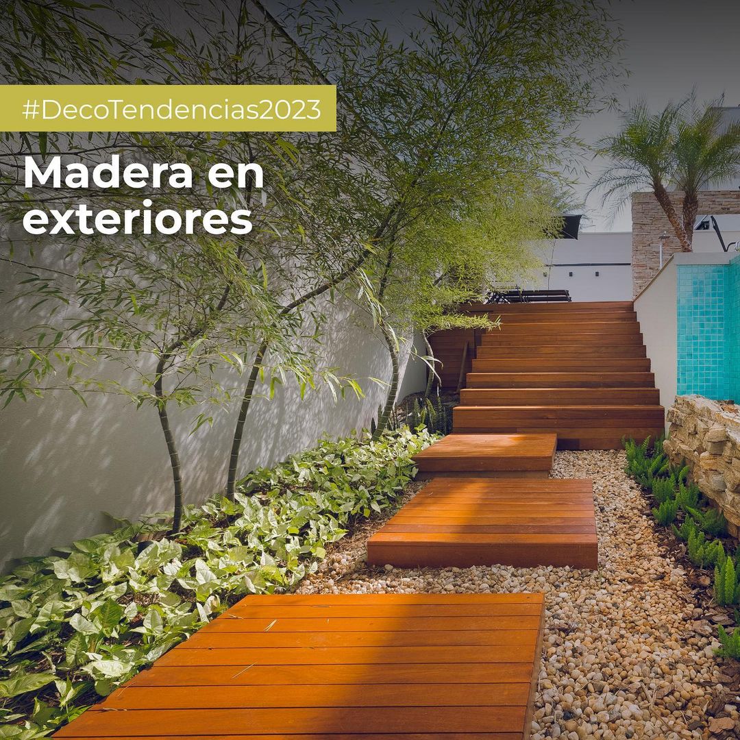 Tarimas de madera