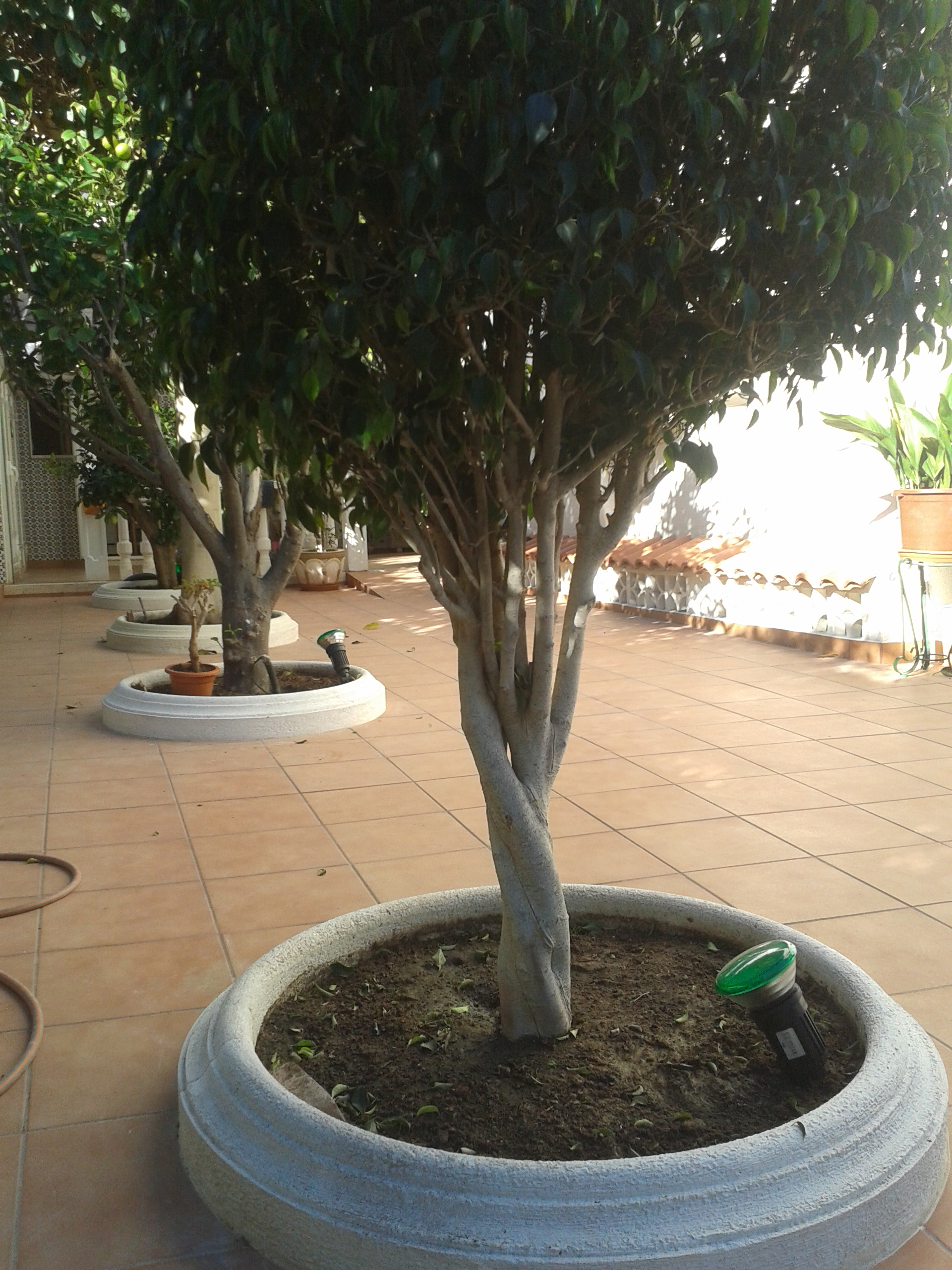 PAVIMENTADO DE JARDÍN EN ARENALES DEL SOL
