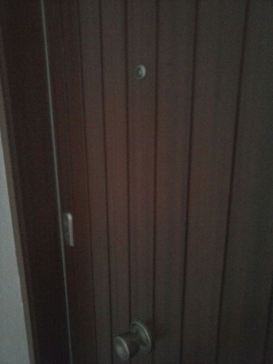 Puerta blindada