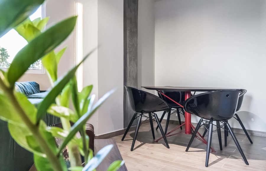 Reforma Vivienda Salon