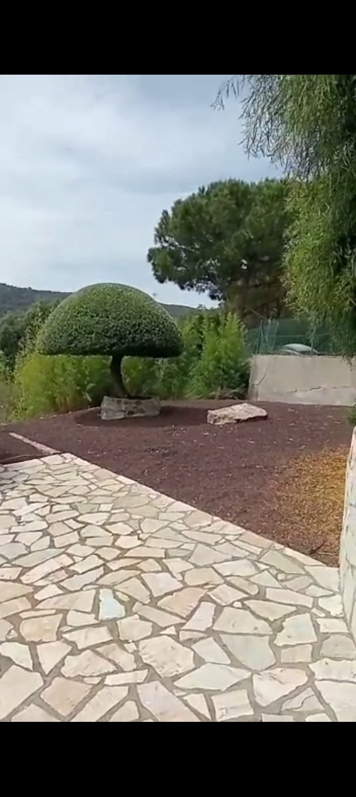 AZRUCAT