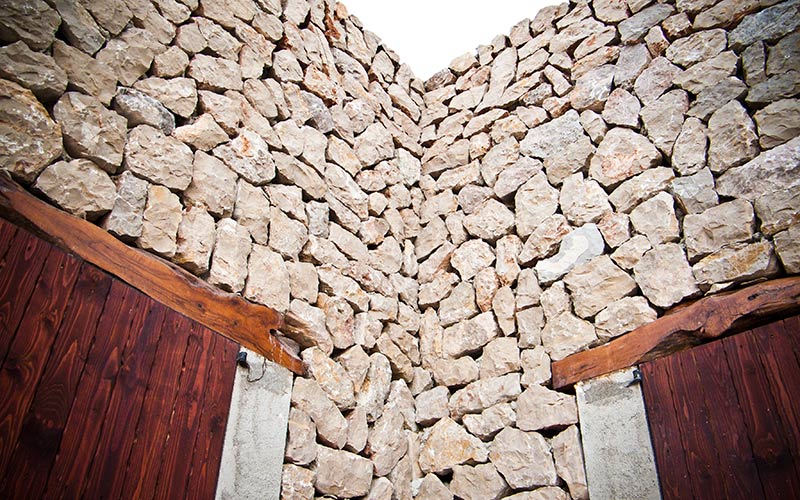 Vivienda en Selva