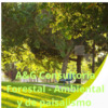 Green Areaa