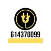 Electriherz
