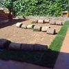 Tala de arboles en jardin