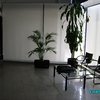 Limpieza de Toldos y Panel