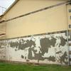 Pavimentar suelo (8 m2)