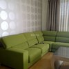 Papel Pintado