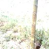 Reponer valla de alambre tensado y crear murete inferior de obra