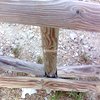 Construir Caseta de 52 m2 y Poner Cercado en Parcela