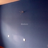 Obras de pintura