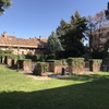 Lipieza de toldos de jardin