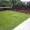 Mantención de jardín fuimigación limpiar hojas y plantar