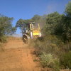 Excavar pista para llegar a unos pinos