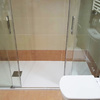 Cambiar manguito y mando de la ducha