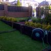 Cortar cesped 150 m2 y podar plantas