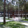 Legalizar nave