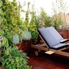 Manteminimiento de jardines en madrid