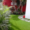 Reparar césped y recortar plantas