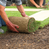 Crear jardín con riego