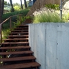 Escaleras de pino