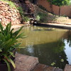 Piscina o alberca de 6 por 3