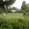Limpieza Finca 7 Plantas