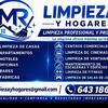 Mr Limpieza Y Hogares 