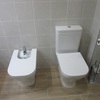 Presupuesto para comprar sanitario, instalarlo y retirada del antiguo, en domicilio particular al lado del carrefour hoya de la plata características: -sanitario roca -serie victoria blanco inodoro de tanque bajo 665 mm de longitud taza blanco con juego