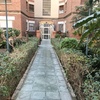 Poda y arreglo de jardin (la gaviota, cubelles)
