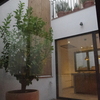 Poner parquet en terraza interior