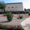 Ornamentar 500 m cuadrados de jardín y paseos