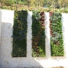 Realizar jardin de vivienda