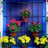Mallorquinas para las ventanas