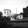 Ubicacion de la Palmera Vespella de Gaia Tarragona